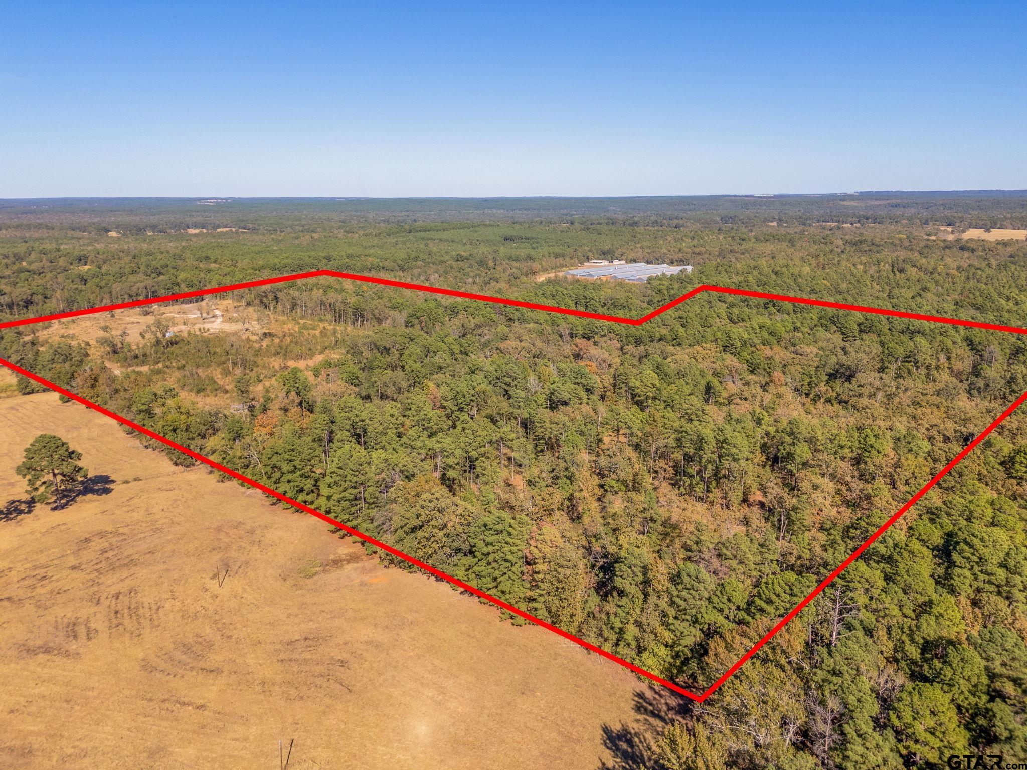 TBD County Road 3953