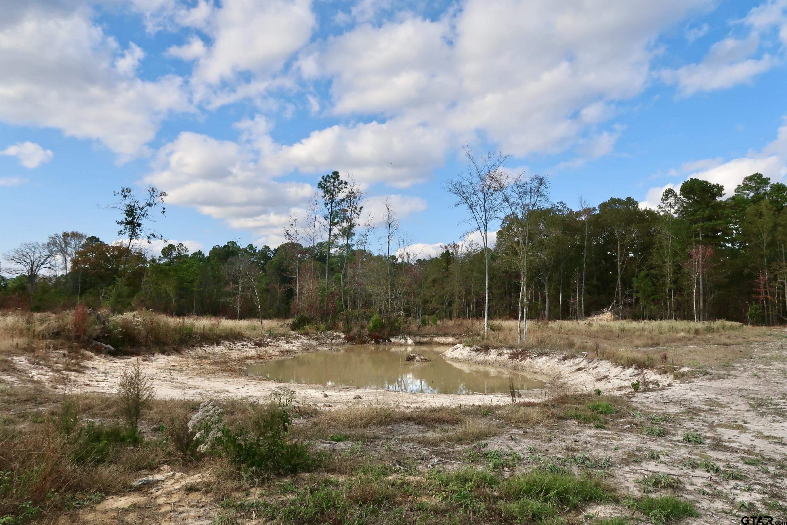 TBD County Road 3953