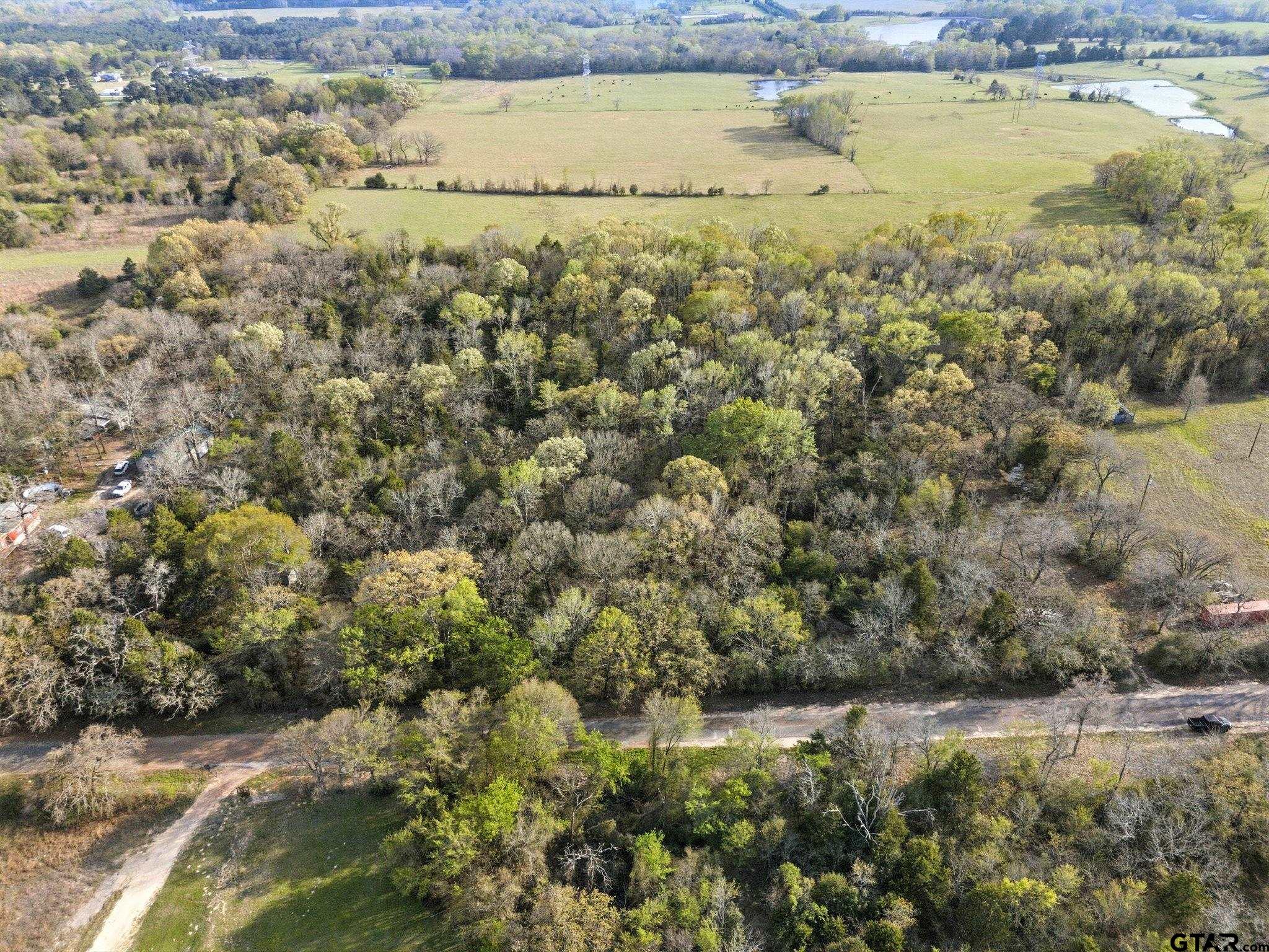 TBD County Road 4610 (Gary Rd)