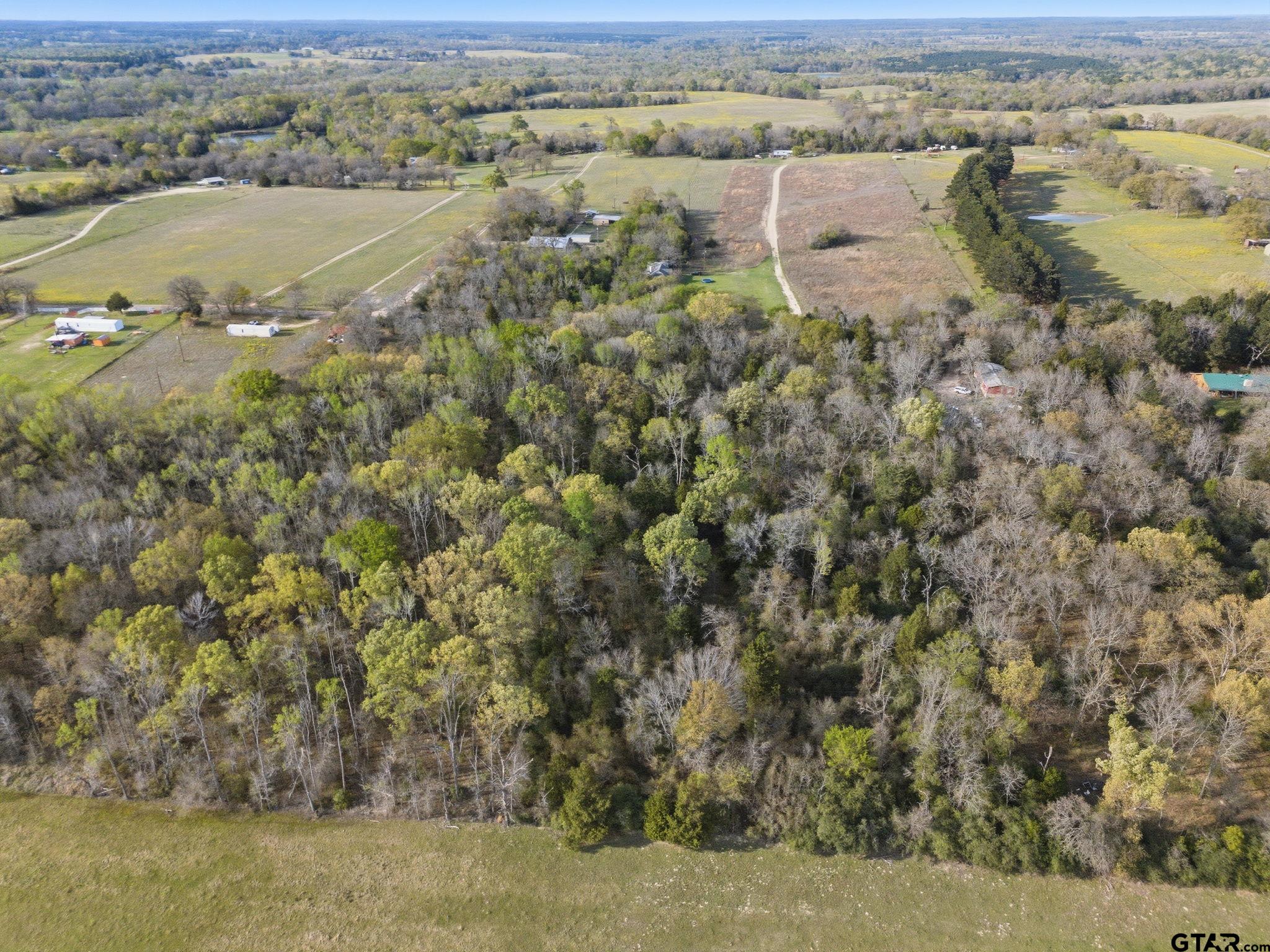 TBD County Road 4610 (Gary Rd)