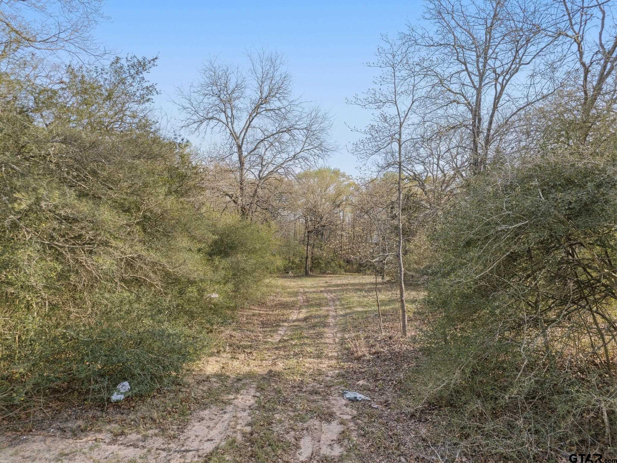 TBD County Road 4610 (Gary Rd)