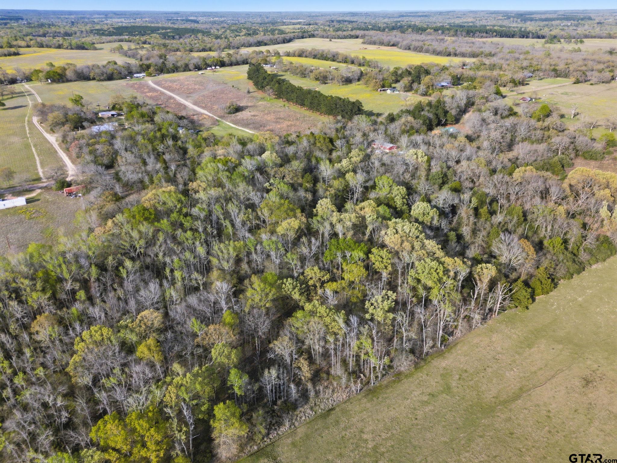 TBD County Road 4610 (Gary Rd)