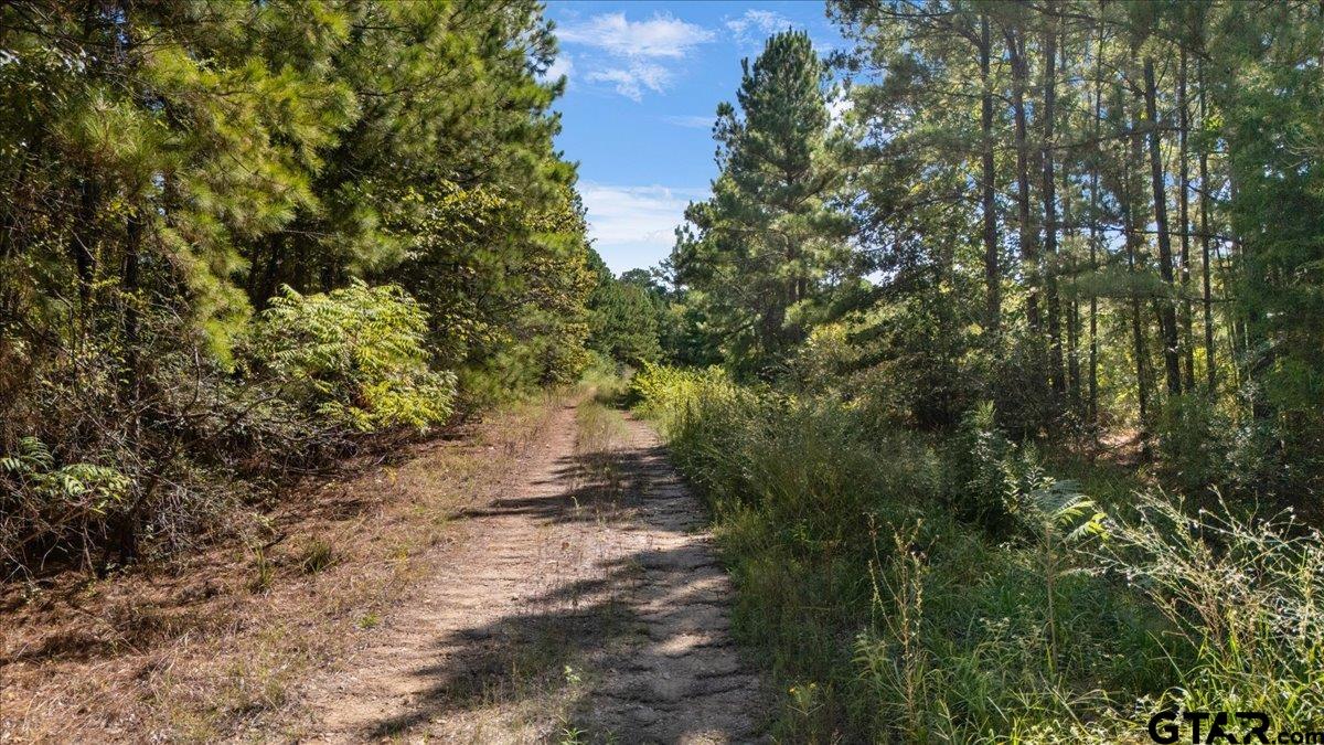 21930 County Road 2155