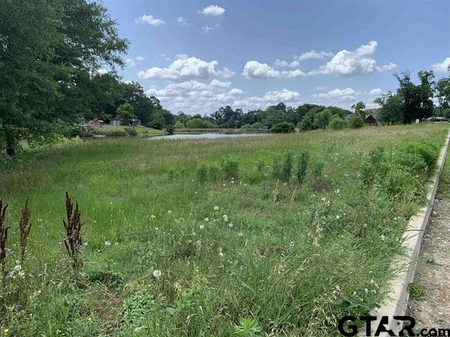 TBD Williams Lake Rd Lot 5