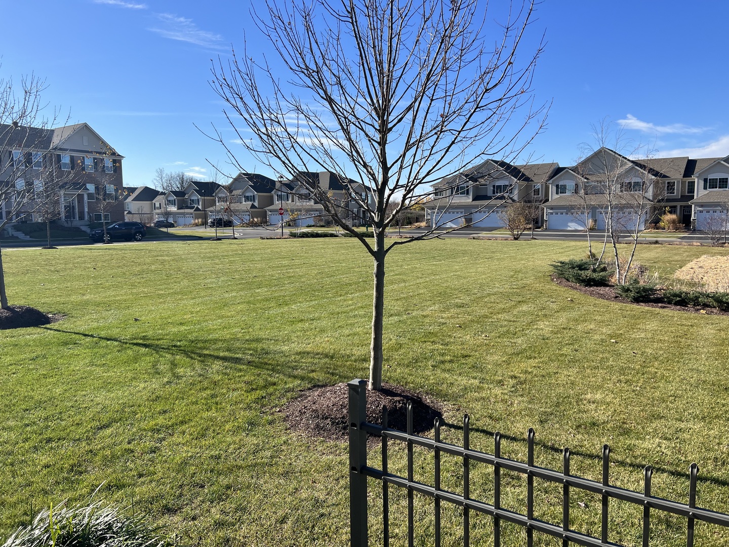 1607 Carlstedt Drive