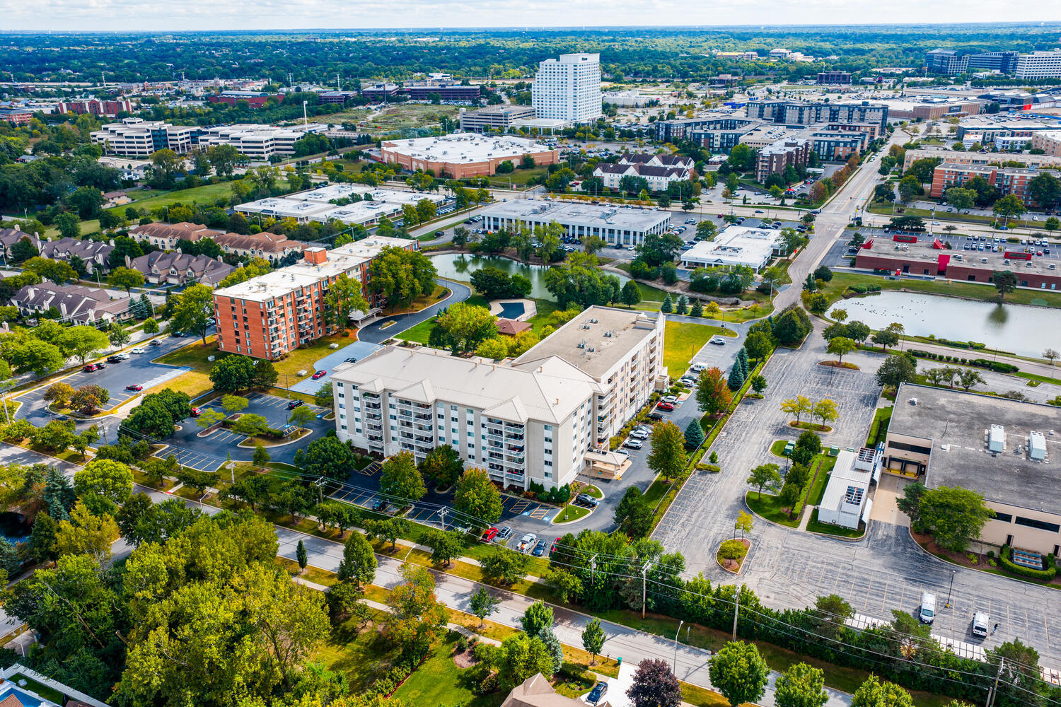 2020 Saint Regis Drive Unit: 509