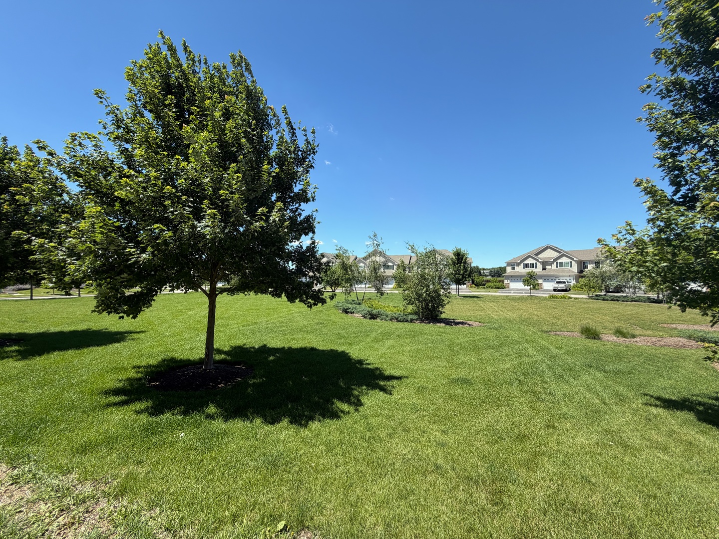 1607 Carlstedt Drive