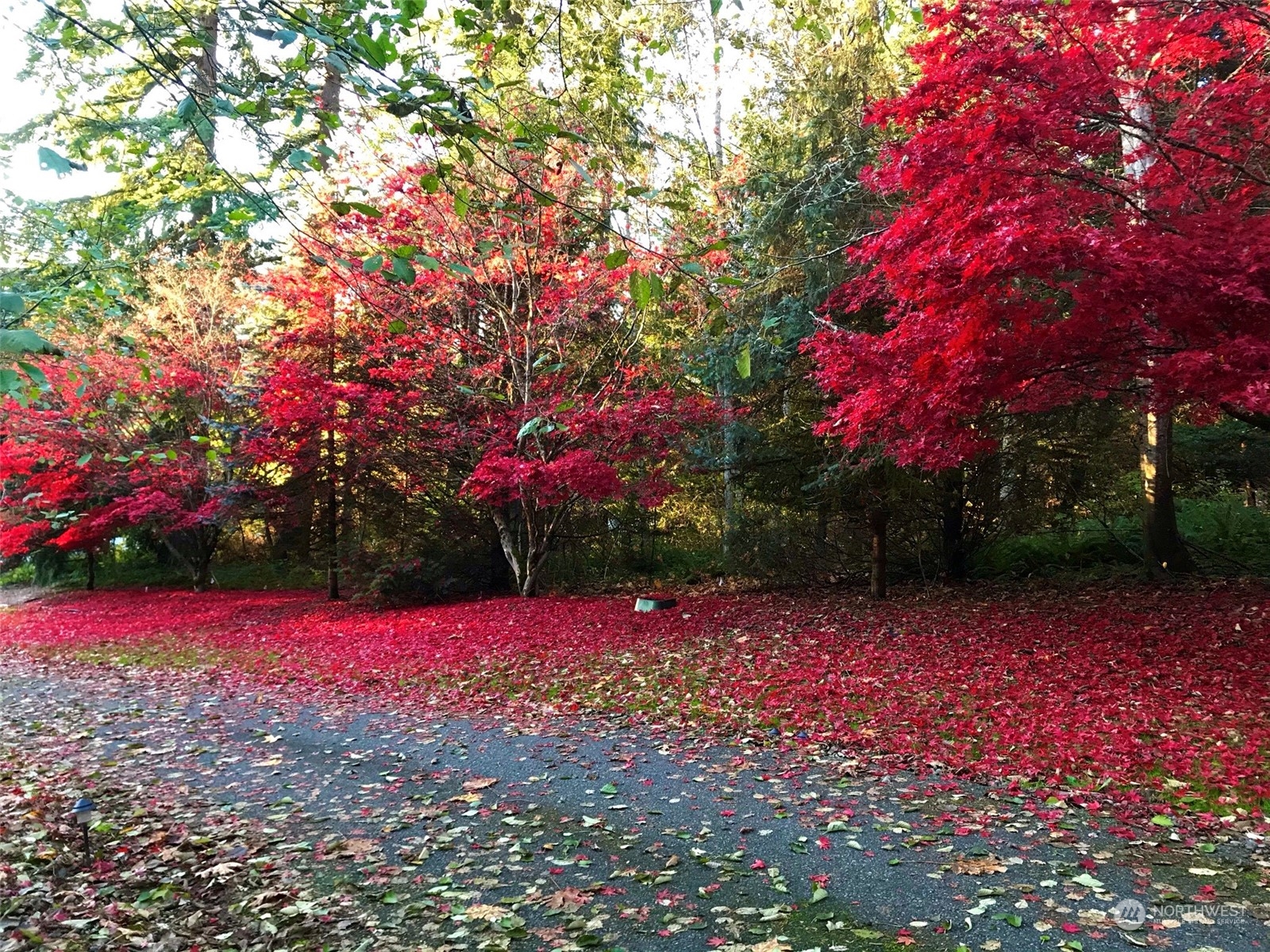 5310 236th Avenue NE, -2525