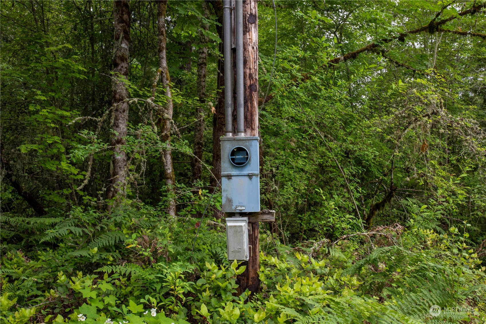 15818 153rd Avenue SE