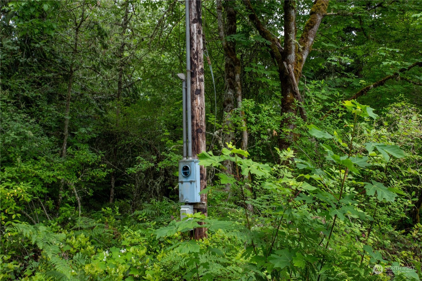 15818 153rd Avenue SE