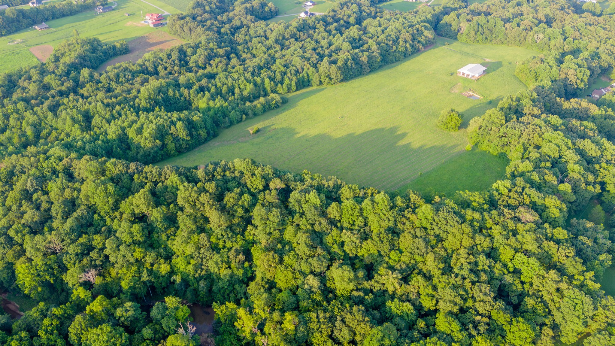 4049 Hwy 31W