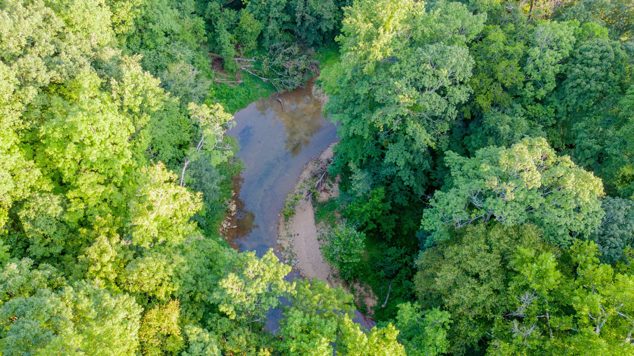 4049 Hwy 31W