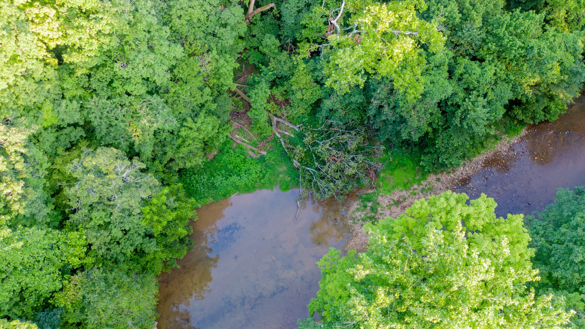 4049 Hwy 31W