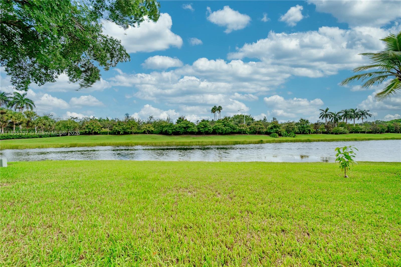1174 Laguna Springs Dr