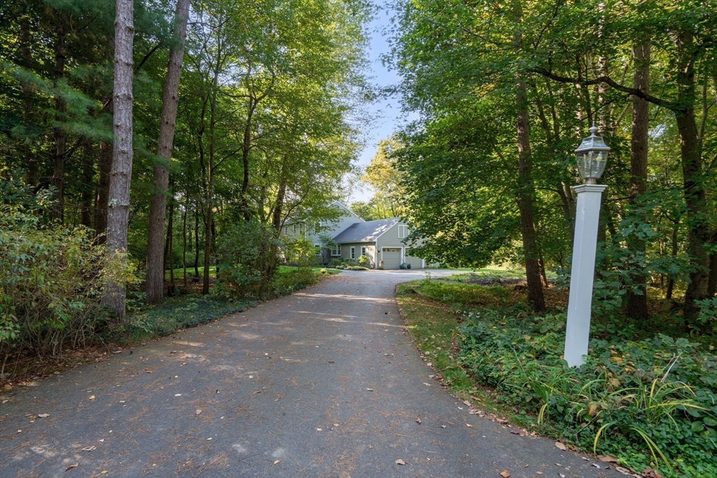 2 Surrey Lane