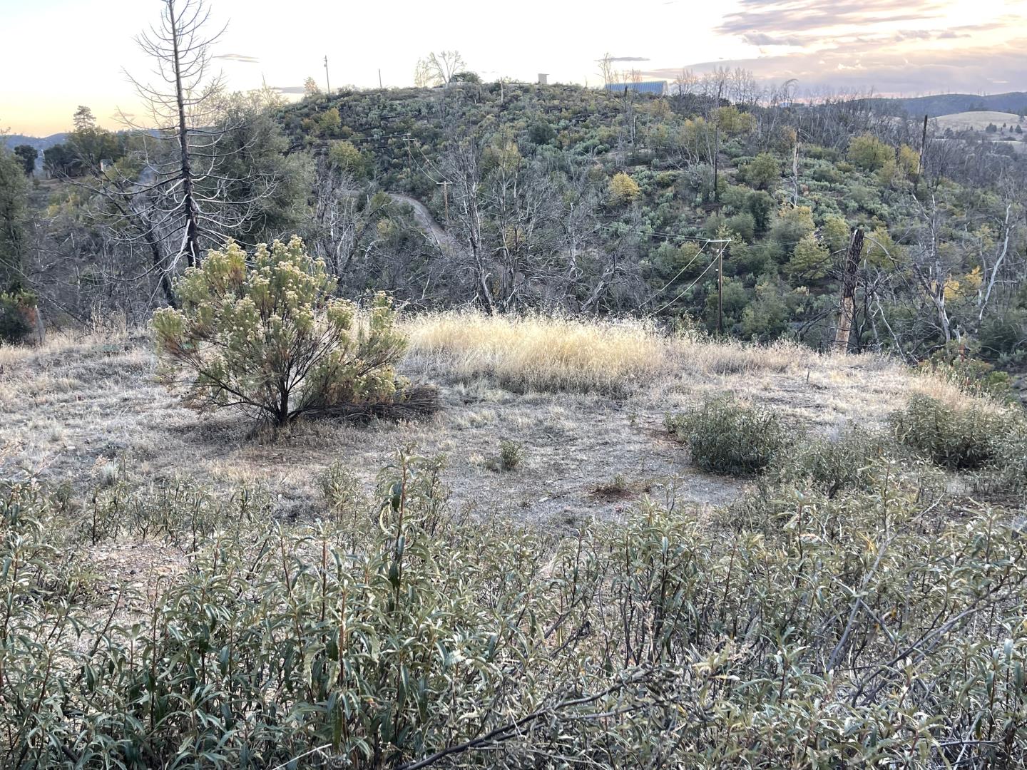 9265 Green Ranch RD
