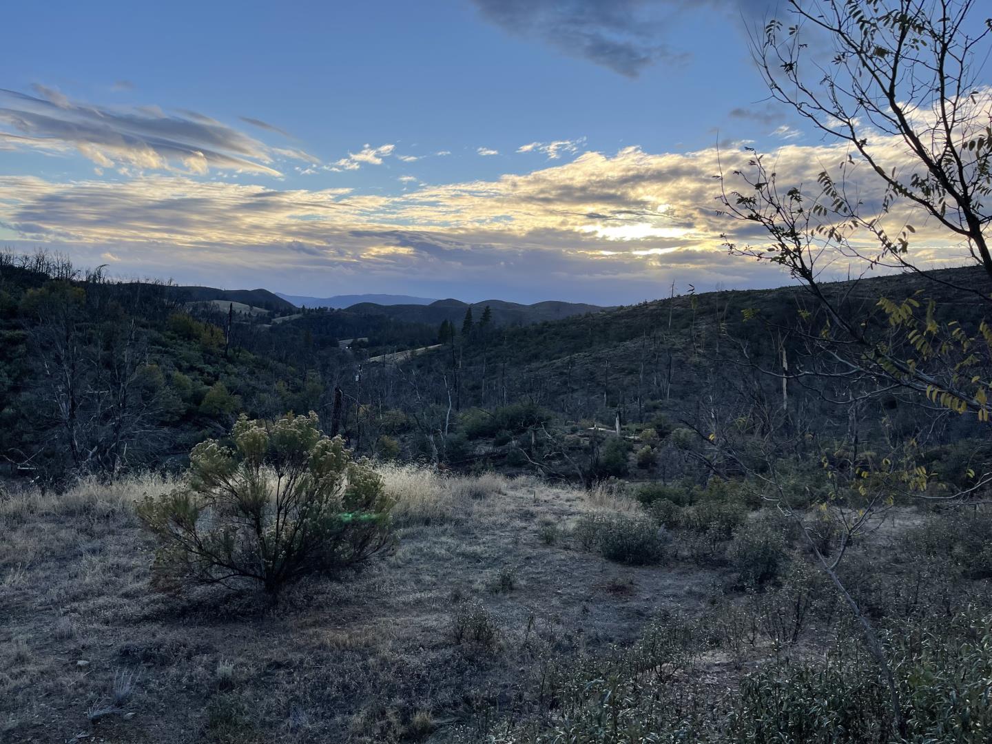 9265 Green Ranch RD