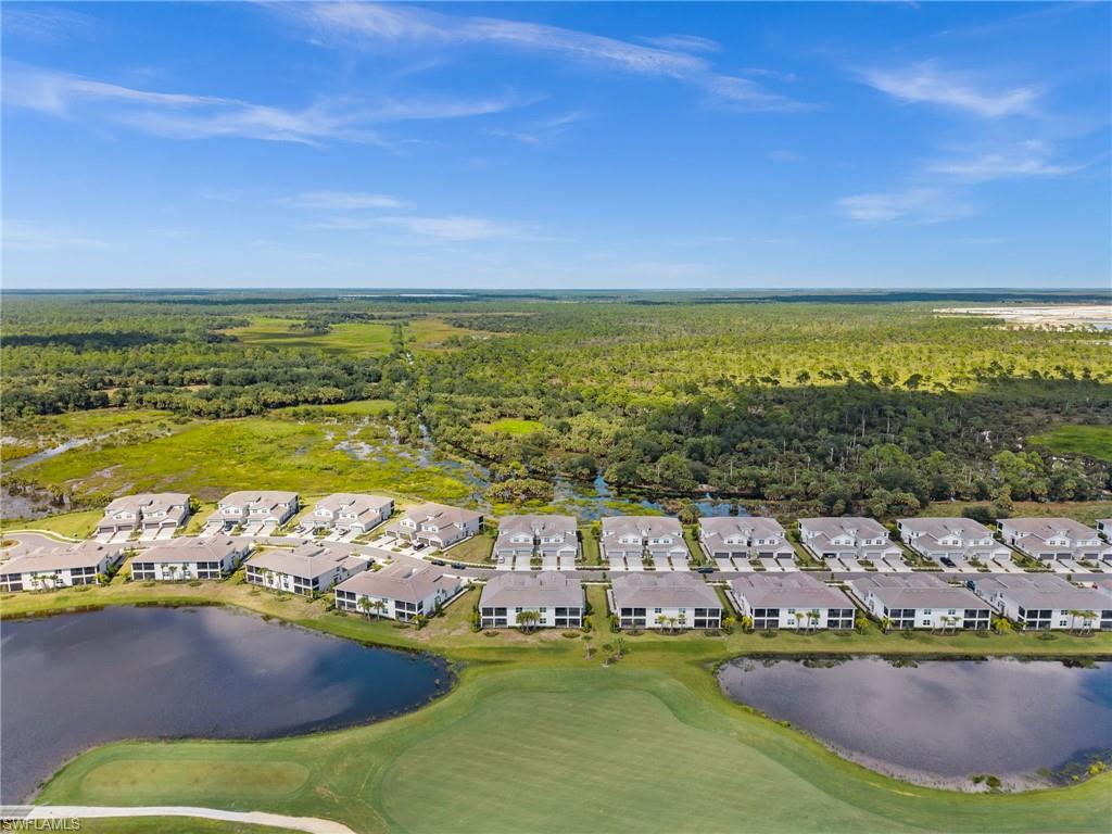 43282 Water Bird WAY # 6311