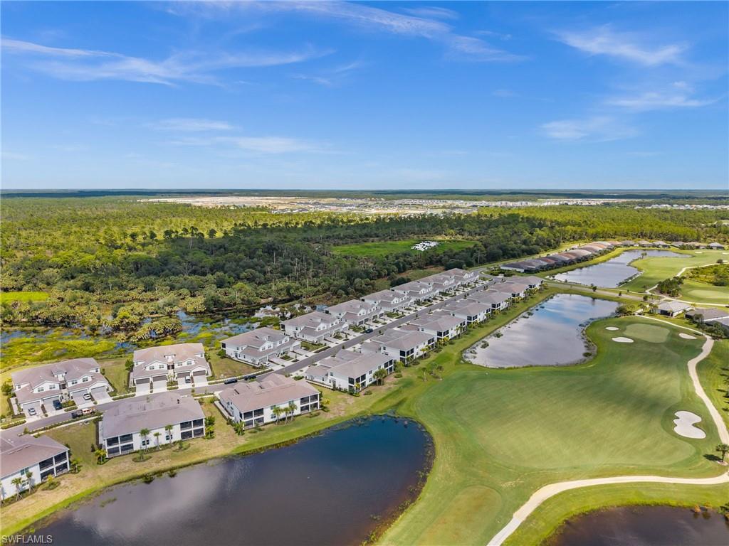 43282 Water Bird WAY # 6311