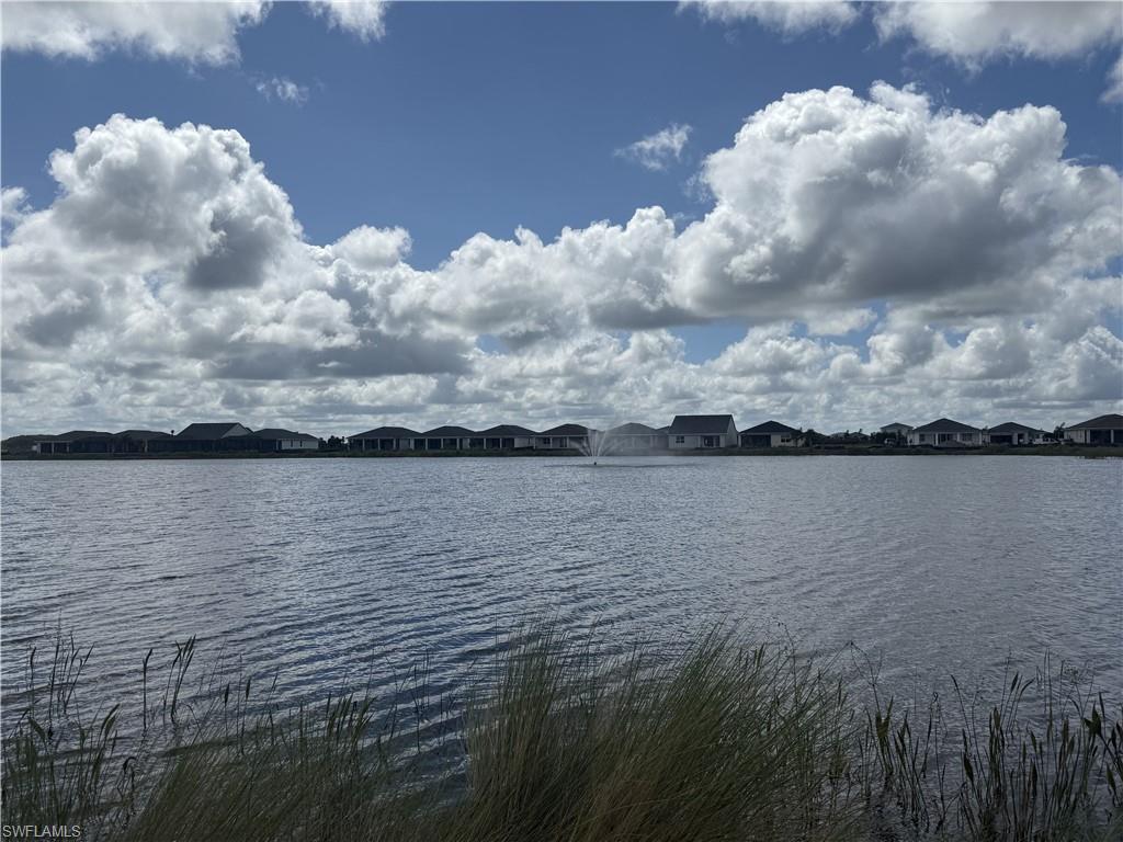 44549 Little Blue Heron WAY