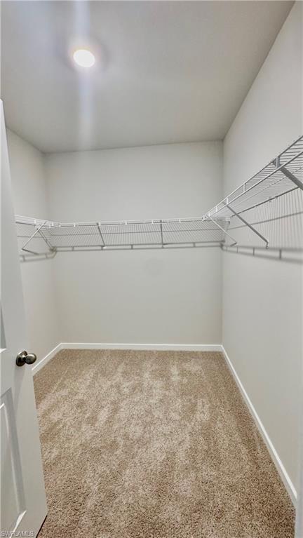 17710 Shade Tree LOOP