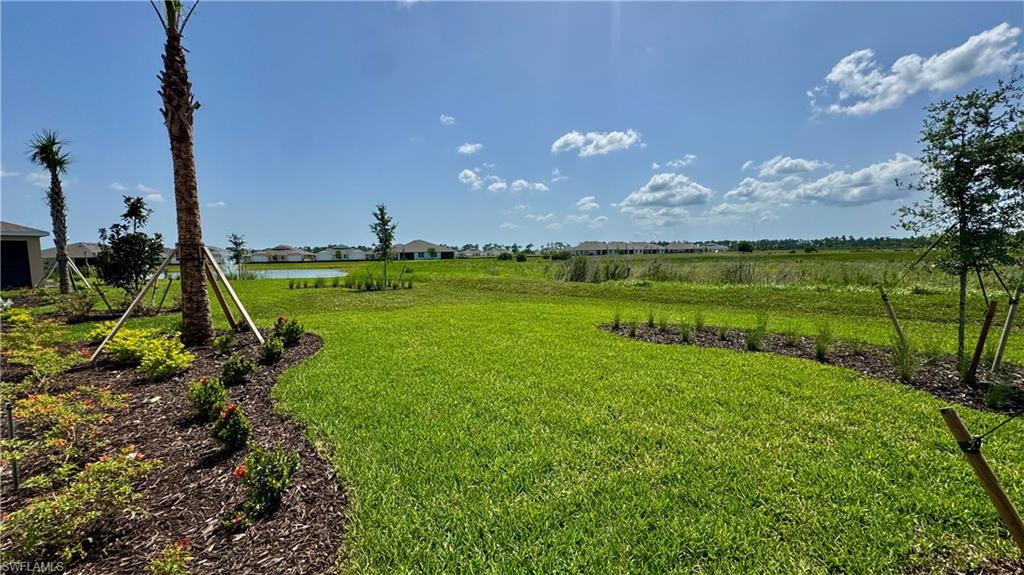 17710 Shade Tree LOOP