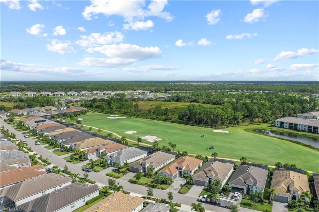 15895 Leaning Pine LN