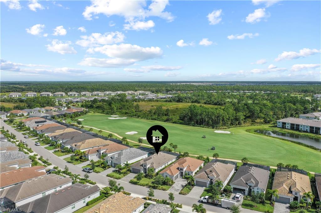 15895 Leaning Pine LN