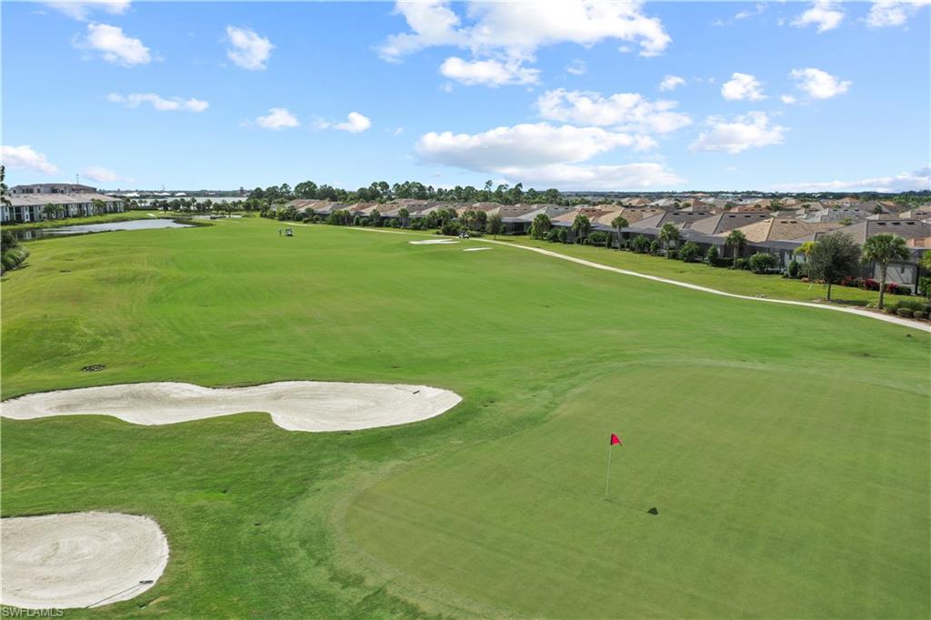 15895 Leaning Pine LN