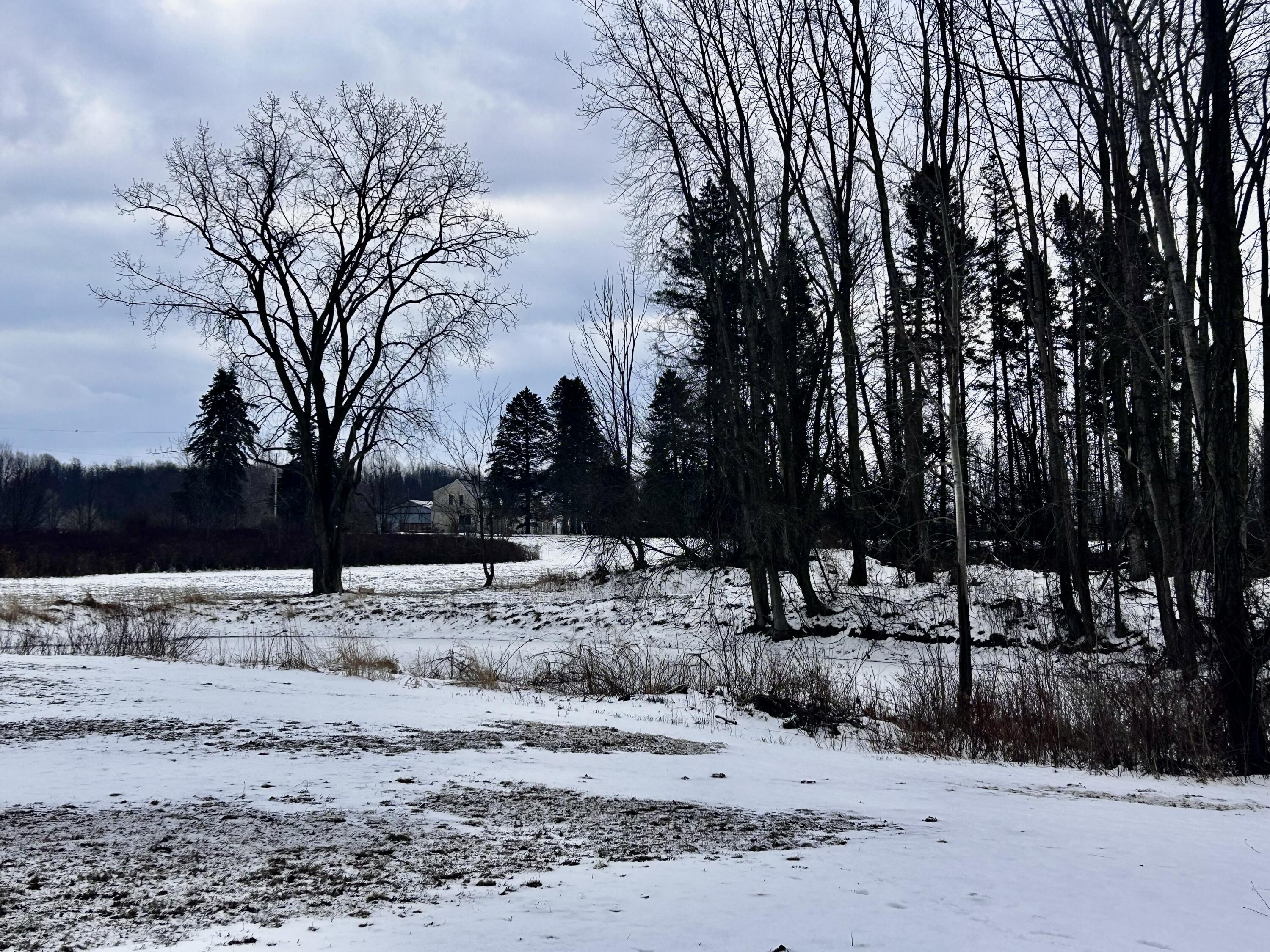 0000 102nd Ave Avenue