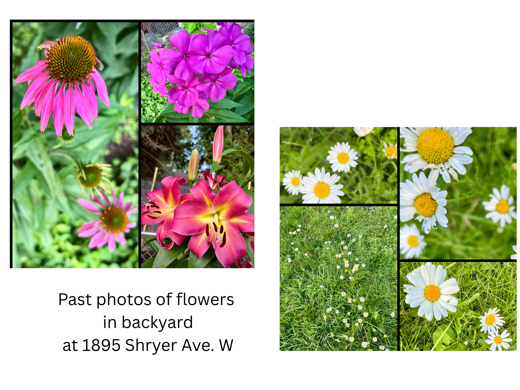 1895 Shryer Avenue W