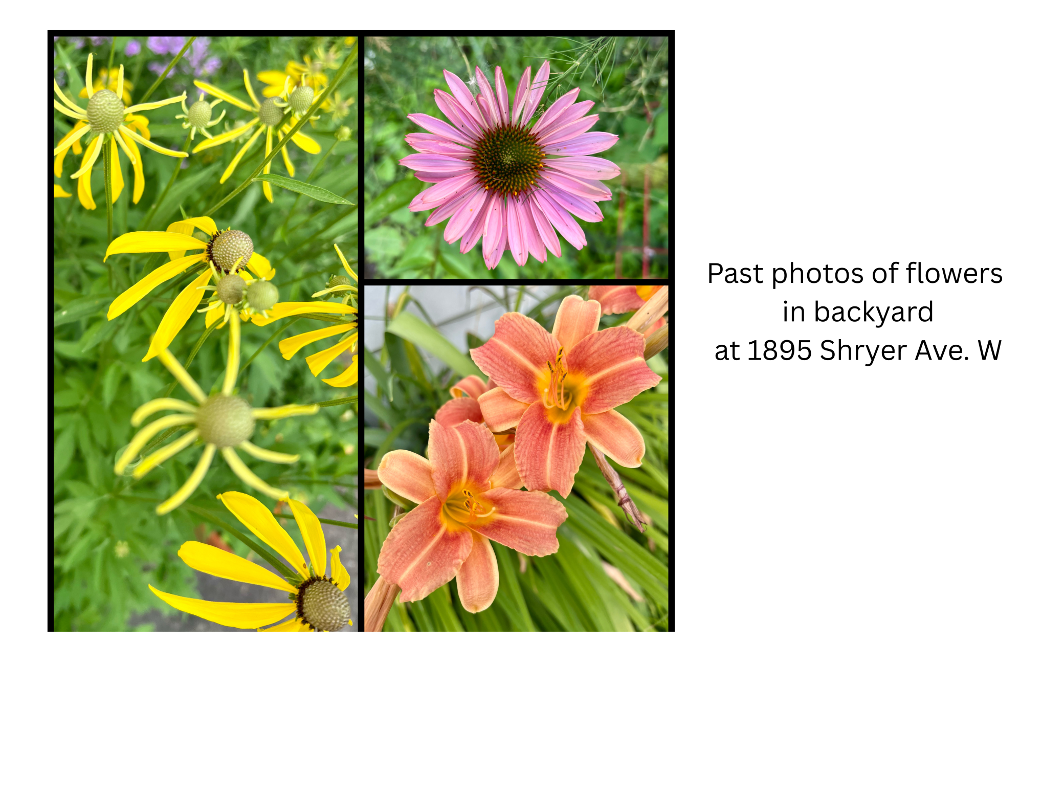 1895 Shryer Avenue W