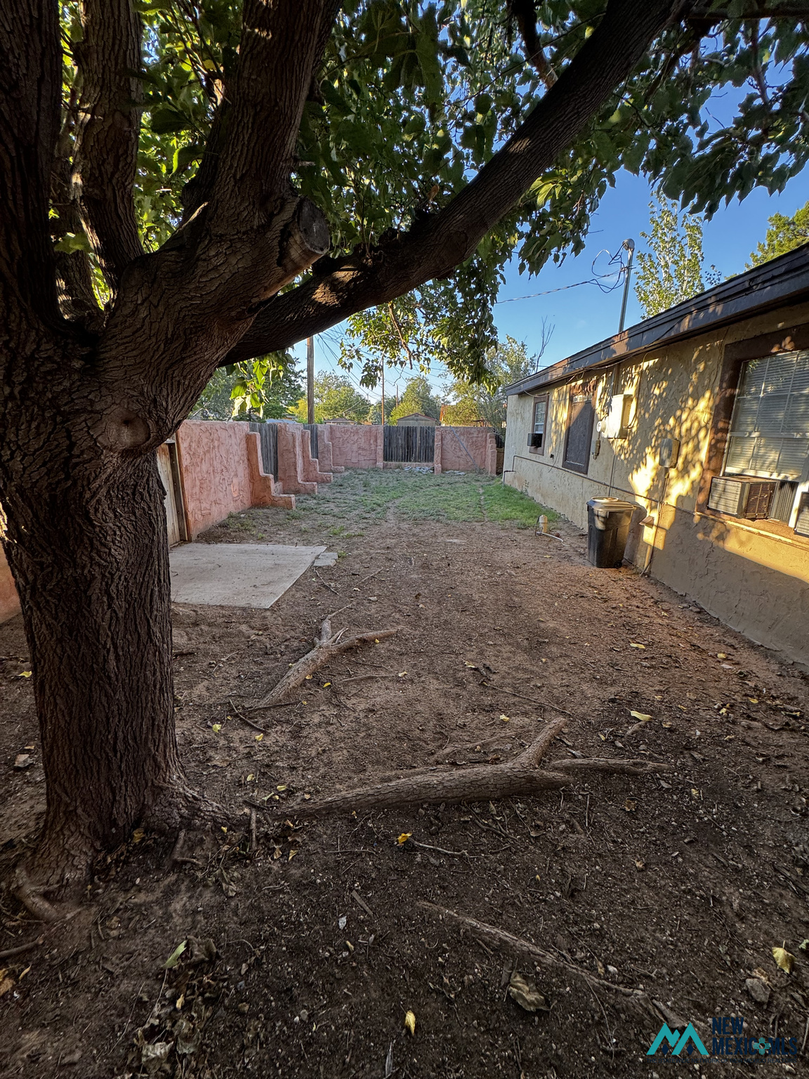 Backyard with a large shade tree, bare ground, pink stucco walls, and a wooden gate.