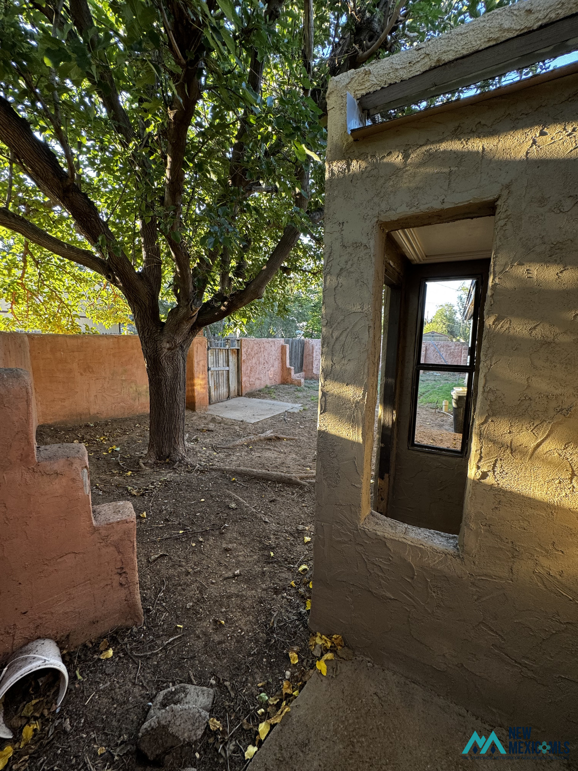 Walled backyard with a large tree, wooden gate, and golden sunlight on stucco walls.