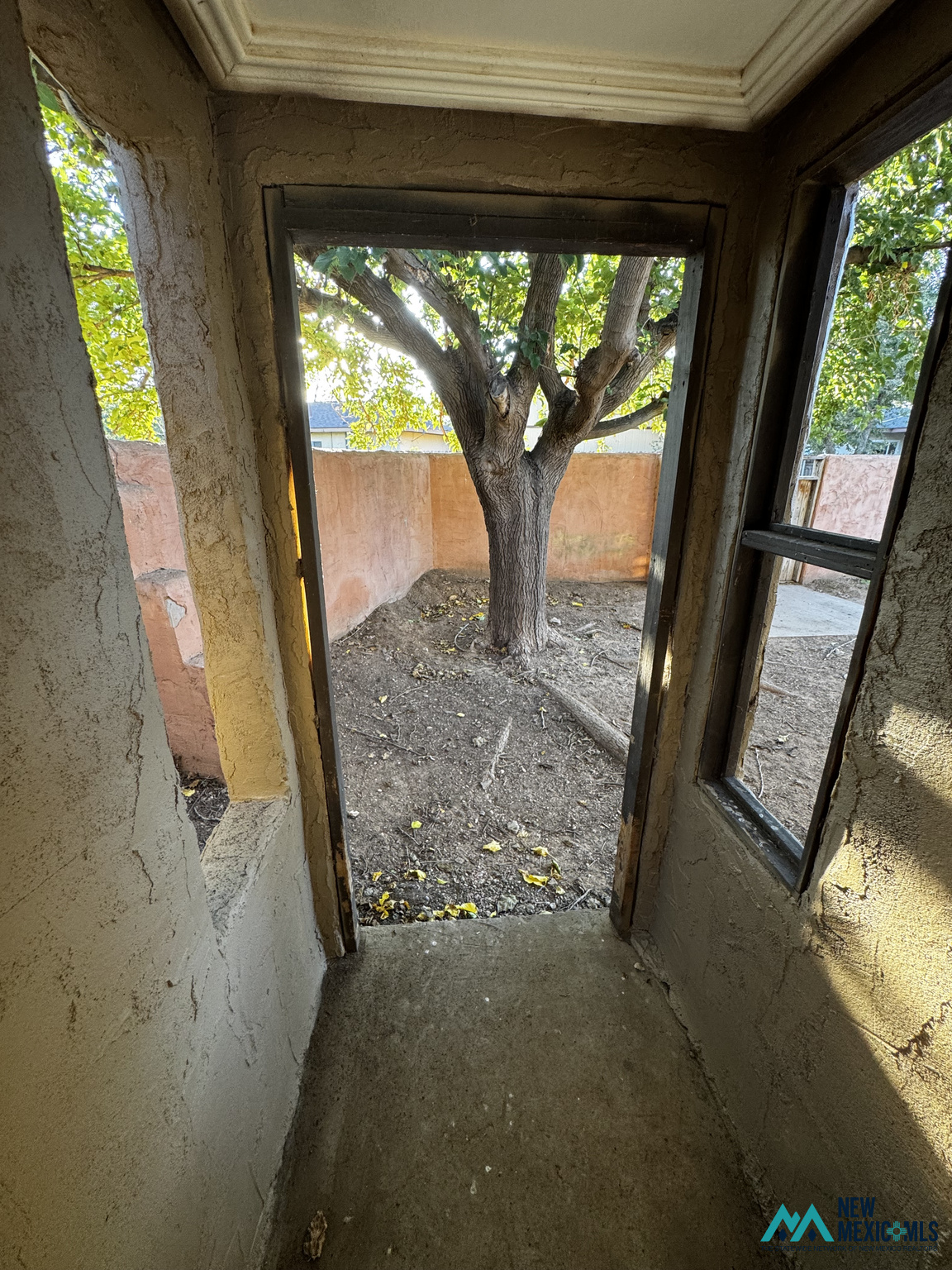 Doorway opening onto an enclosed courtyard with a large leafy tree and pink stucco walls.
