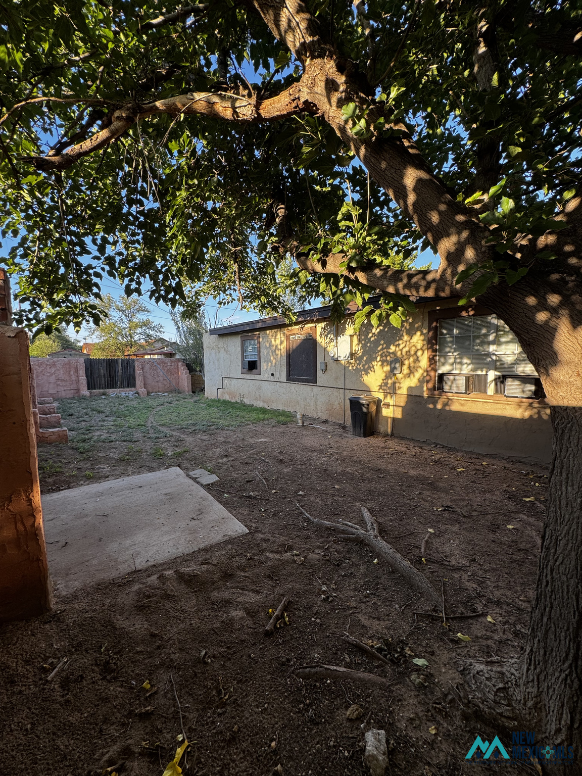 Backyard with a large shade tree, bare dirt ground, and a small concrete patio beside the house.