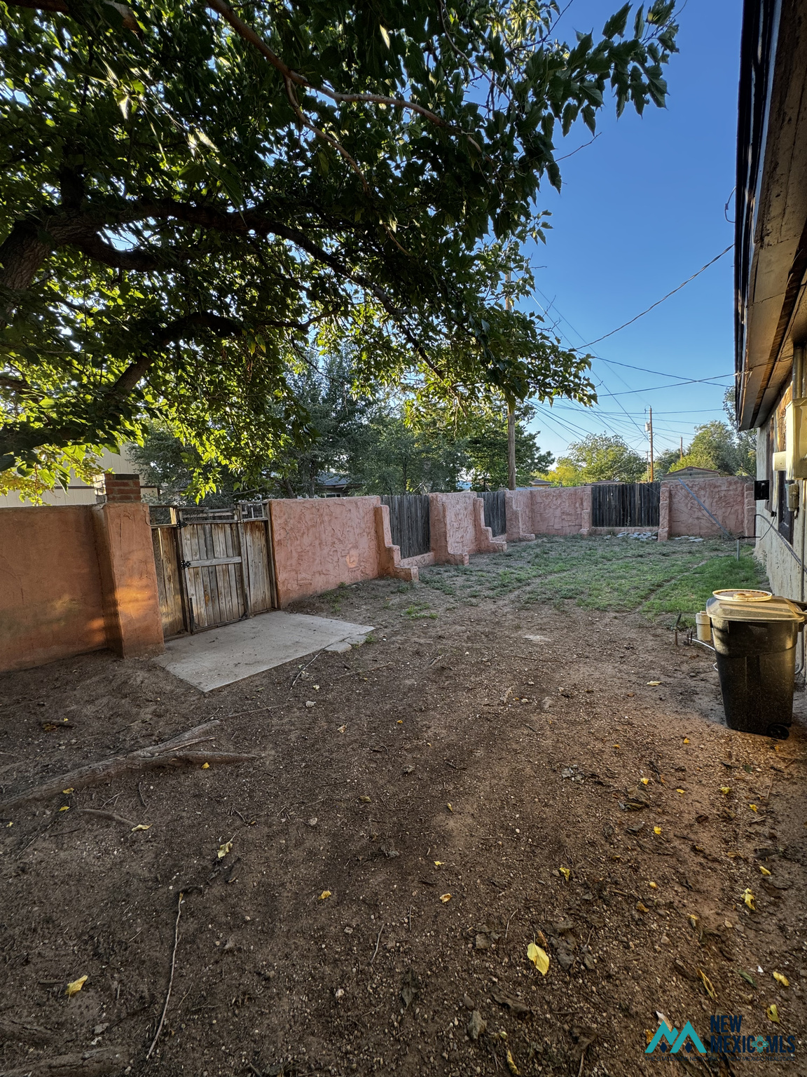 Backyard with a large shade tree, pink stucco wall, wooden gate, and mostly bare dirt ground.