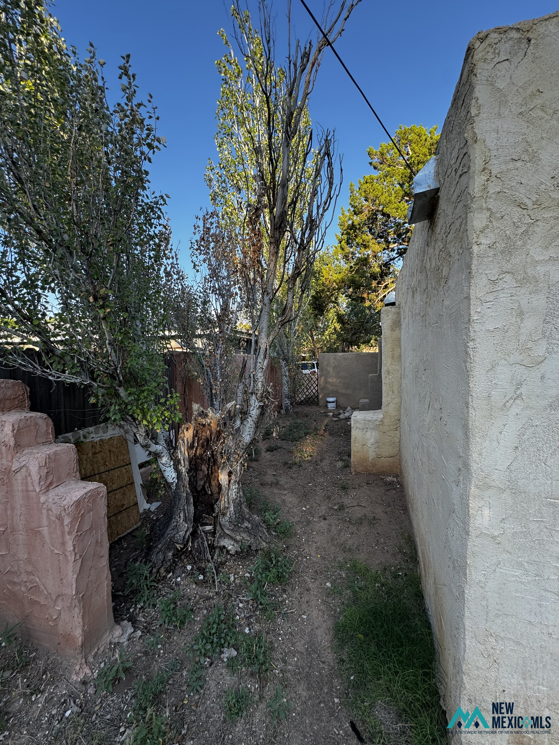 Narrow dirt side yard beside a stucco house, shaded by mature trees and bordered by a wall.