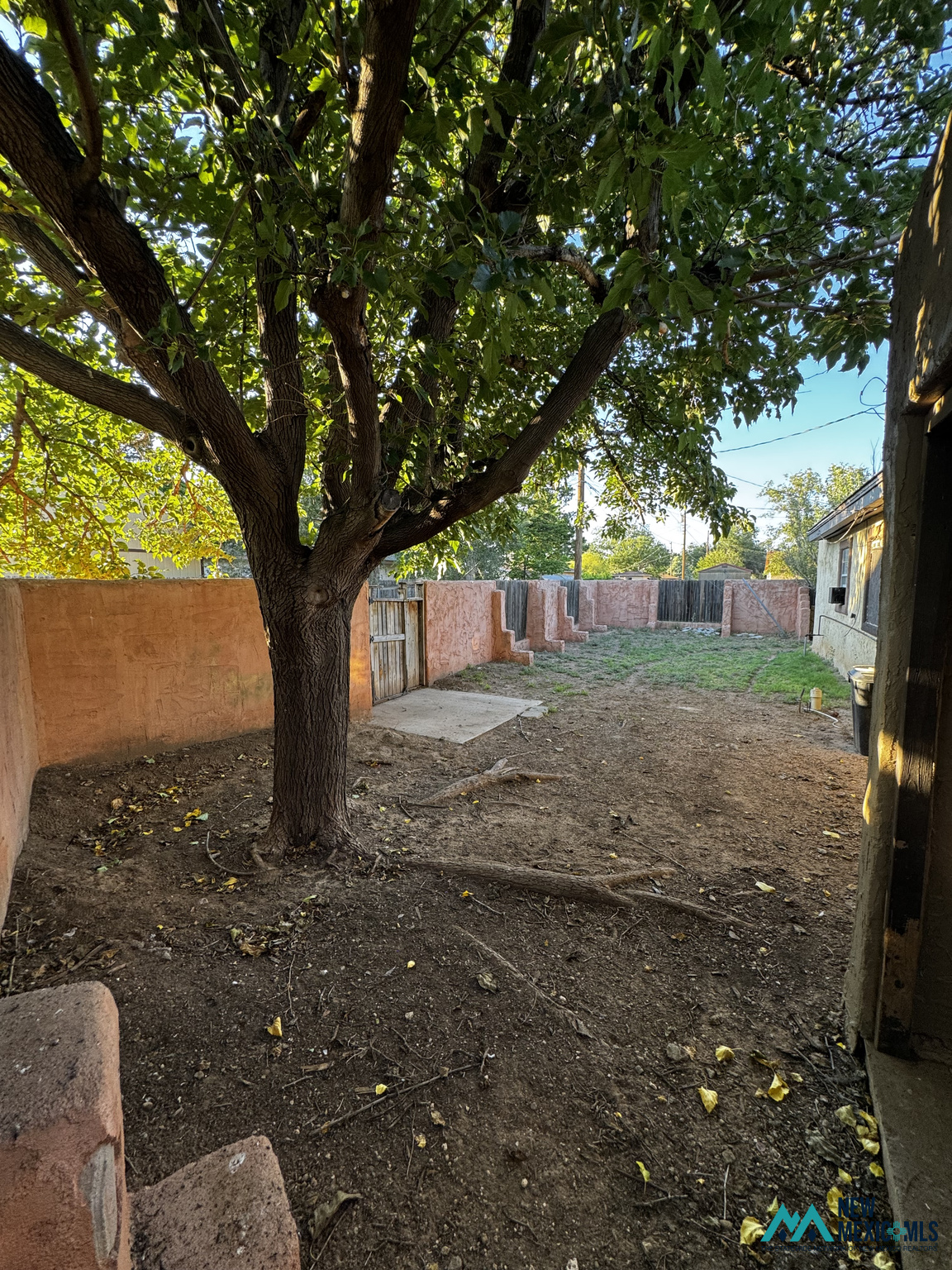 Fenced backyard with a large shade tree, bare soil, and a small grassy area.
