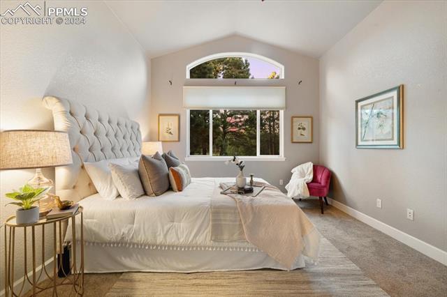 715 Trumpeters Court