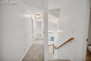 3814 Cottage Drive