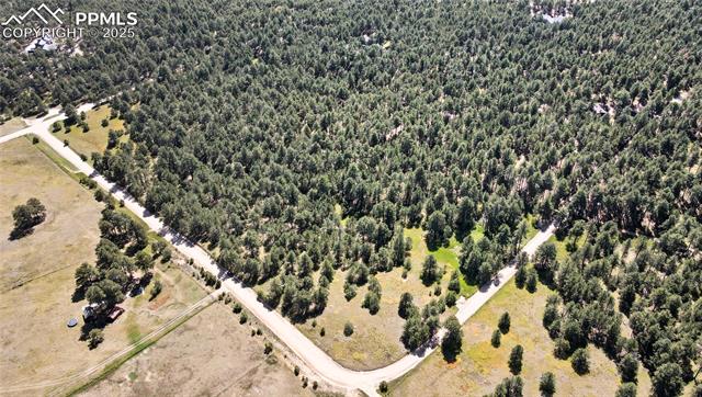 18390 Black Squirrel Road