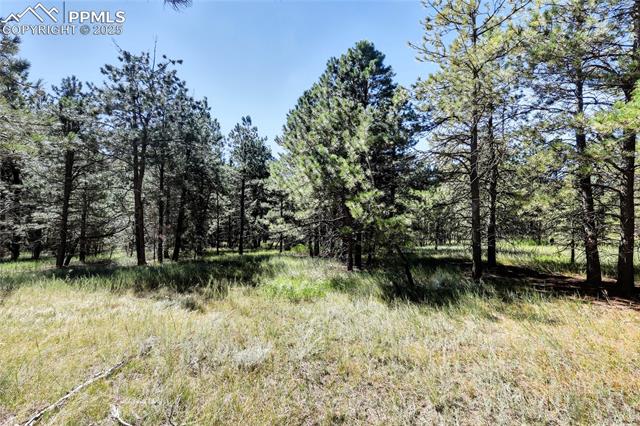 18390 Black Squirrel Road