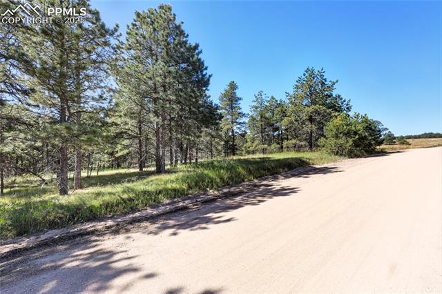 18390 Black Squirrel Road