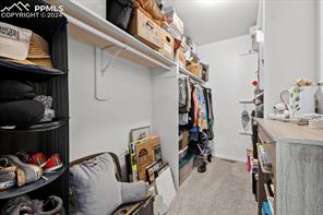 243 Donzi Trail