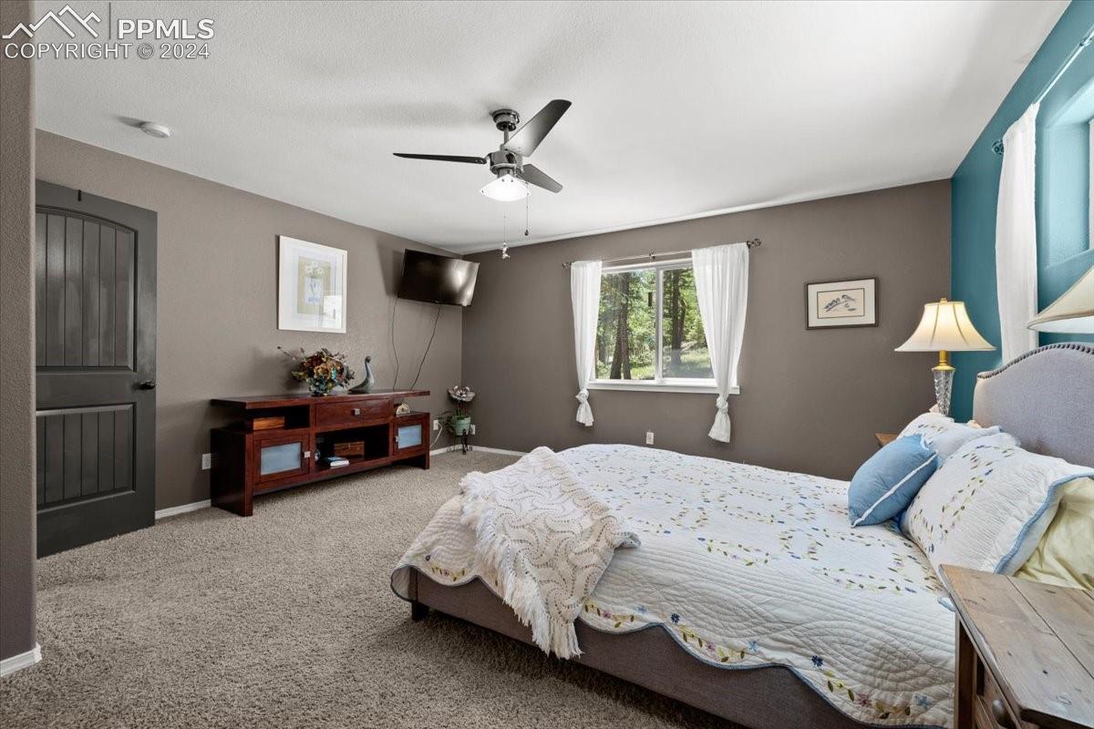 243 Donzi Trail