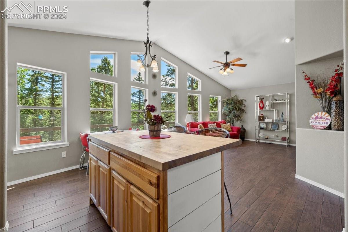 243 Donzi Trail