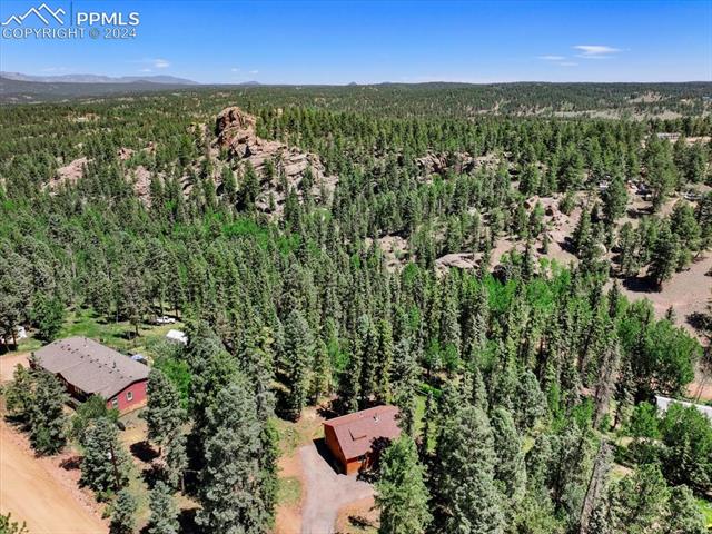 243 Donzi Trail