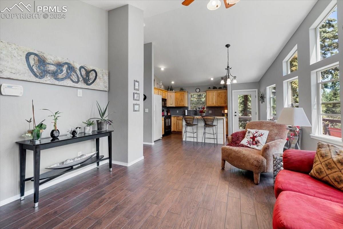 243 Donzi Trail