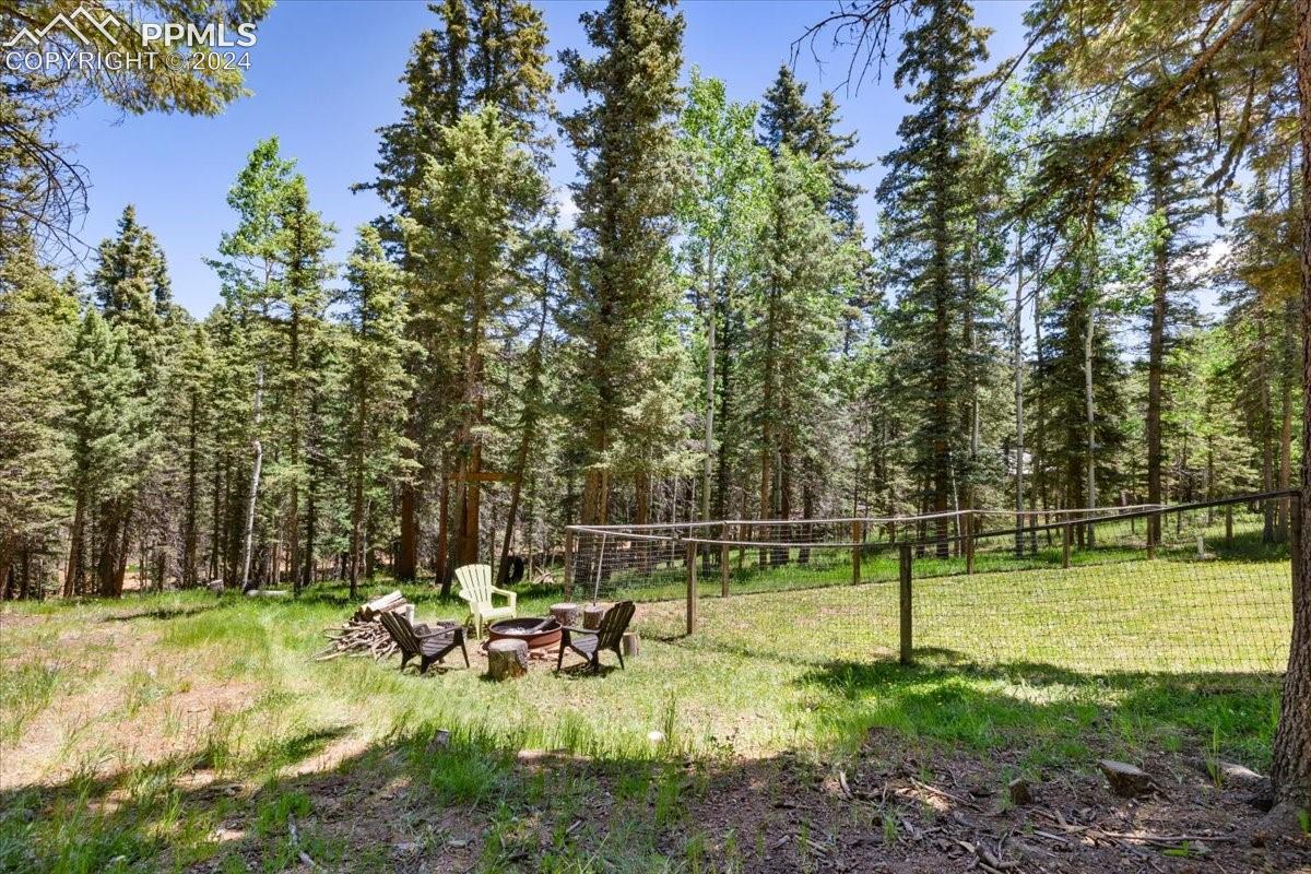 243 Donzi Trail